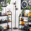 Koyoto Lampa stojąca W kolorze bursztynu, Przezroczysty, Przydymiony, 3-punktowe