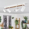 Gesteira lampa sufitowa, spot sufitowy kolory naturalne, biały, 4-punktowe
