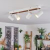 Gesteira lampa sufitowa, spot sufitowy kolory naturalne, biały, 4-punktowe