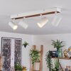 Gesteira lampa sufitowa, spot sufitowy kolory naturalne, biały, 4-punktowe