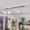 Gesteira lampa sufitowa, spot sufitowy kolory naturalne, biały, 4-punktowe