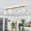 Gesteira lampa sufitowa, spot sufitowy kolory naturalne, biały, 4-punktowe
