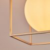 Finnseter Lampa Sufitowa W kolorze szampana, 2-punktowe
