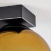Koyoto  Lampa Wisząca Szkło 15 cm Złoty, Przezroczysty, 4-punktowe