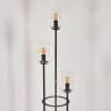Gastor Lampa stojąca 30 cm Jasne drewno, Czarny, 3-punktowe