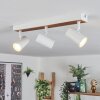 Gesteira lampa sufitowa, spot sufitowy kolory naturalne, biały, 3-punktowe