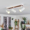 Gesteira lampa sufitowa, spot sufitowy kolory naturalne, biały, 3-punktowe
