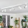 Gesteira Lampa sufitowa, Spot sufitowy Chrom, Biały, 6-punktowe