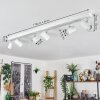 Gesteira Lampa sufitowa, Spot sufitowy Chrom, Biały, 6-punktowe