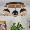 Haldor Lampa sufitowa, Spot sufitowy Brązowy, Chrom, Czarny, 3-punktowe