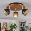 Haldor Lampa sufitowa, Spot sufitowy Brązowy, Chrom, Czarny, 3-punktowe
