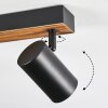 Gesteira lampa sufitowa, spot sufitowy kolory naturalne, czarny, 6-punktowe