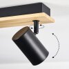 Gesteira lampa sufitowa, spot sufitowy kolory naturalne, czarny, 6-punktowe