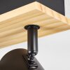 Gesteira lampa sufitowa, spot sufitowy kolory naturalne, czarny, 6-punktowe