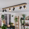 Gesteira lampa sufitowa, spot sufitowy kolory naturalne, czarny, 6-punktowe