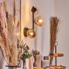 Chehalis Kula świetlna, Lampa ścienna 23 cm W kolorze bursztynu, Przezroczysty, 3-punktowe