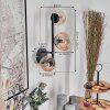 Chehalis Kula świetlna, Lampa ścienna 23 cm W kolorze bursztynu, Przezroczysty, 3-punktowe