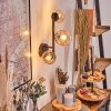 Chehalis Kula świetlna, Lampa ścienna 23 cm W kolorze bursztynu, Przezroczysty, 3-punktowe