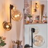 Chehalis Kula świetlna, Lampa ścienna 23 cm W kolorze bursztynu, Przezroczysty, 3-punktowe