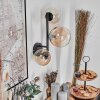 Chehalis Kula świetlna, Lampa ścienna 23 cm W kolorze bursztynu, Przezroczysty, 3-punktowe