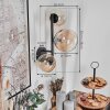 Chehalis Kula świetlna, Lampa ścienna 23 cm W kolorze bursztynu, Przezroczysty, 3-punktowe