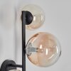 Chehalis Kula świetlna, Lampa ścienna 23 cm W kolorze bursztynu, Przezroczysty, 3-punktowe