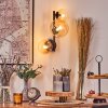 Chehalis Kula świetlna, Lampa ścienna 23 cm W kolorze bursztynu, Przezroczysty, 3-punktowe