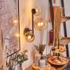 Chehalis Kula świetlna, Lampa ścienna 23 cm W kolorze bursztynu, Przezroczysty, 3-punktowe