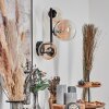 Chehalis Kula świetlna, Lampa ścienna 23 cm W kolorze bursztynu, Przezroczysty, 3-punktowe