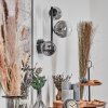 Chehalis Kula świetlna, Lampa ścienna 23 cm Chrom, Przezroczysty, Przydymiony, 3-punktowe
