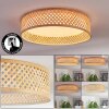 Barroco lampa sufitowa LED kolory naturalne, biały, 1-punktowy
