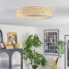 Barroco lampa sufitowa LED kolory naturalne, biały, 1-punktowy