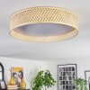 Barroco lampa sufitowa LED kolory naturalne, biały, 1-punktowy