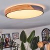 Cadaixo lampa sufitowa LED kolory naturalne, czarny, 1-punktowy, Zdalne sterowanie