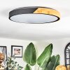 Cadaixo lampa sufitowa LED kolory naturalne, czarny, 1-punktowy, Zdalne sterowanie