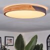 Cadaixo lampa sufitowa LED kolory naturalne, czarny, 1-punktowy, Zdalne sterowanie