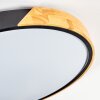 Cadaixo lampa sufitowa LED kolory naturalne, czarny, 1-punktowy, Zdalne sterowanie