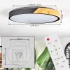 Cadaixo lampa sufitowa LED kolory naturalne, czarny, 1-punktowy, Zdalne sterowanie