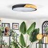 Cadaixo lampa sufitowa LED kolory naturalne, czarny, 1-punktowy, Zdalne sterowanie