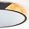 Cadaixo lampa sufitowa LED kolory naturalne, czarny, 1-punktowy, Zdalne sterowanie