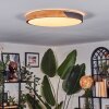 Cadaixo lampa sufitowa LED kolory naturalne, czarny, 1-punktowy, Zdalne sterowanie