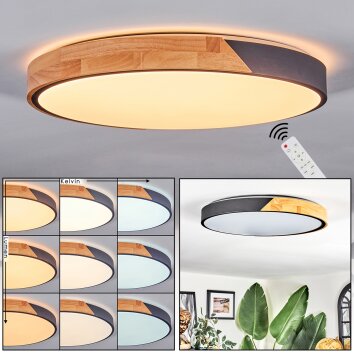 Cadaixo lampa sufitowa LED kolory naturalne, czarny, 1-punktowy, Zdalne sterowanie