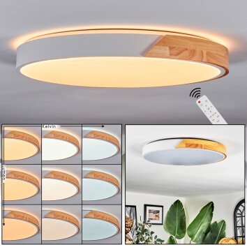 Cadaixo lampa sufitowa LED kolory naturalne, biały, 1-punktowy, Zdalne sterowanie