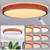 Sofo lampa sufitowa LED kolory naturalne, 1-punktowy, Zdalne sterowanie
