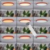 Sofo lampa sufitowa LED kolory naturalne, 1-punktowy, Zdalne sterowanie