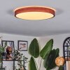 Sofo lampa sufitowa LED kolory naturalne, 1-punktowy, Zdalne sterowanie