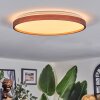 Sofo Lampa sufitowa LED Ecru, 1-punktowy, Zdalne sterowanie