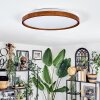 Sofo Lampa sufitowa LED Ecru, 1-punktowy, Zdalne sterowanie