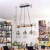 Ripoll lampa wisząca, kula świetlna, lampa wisząca kolory naturalne, czarny, 3-punktowe