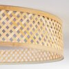 Barroco lampa sufitowa LED kolory naturalne, biały, 1-punktowy, Zdalne sterowanie